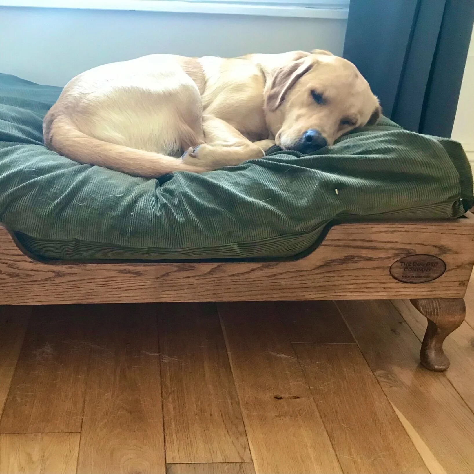 oak dog bed