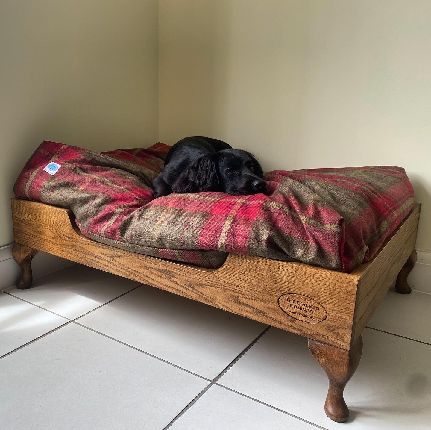 Douglas is going nowhere! #woodendogbed #luxurydogbed #sleepingdog #countryliving #handmade #madeinengland #dogsofinstagram