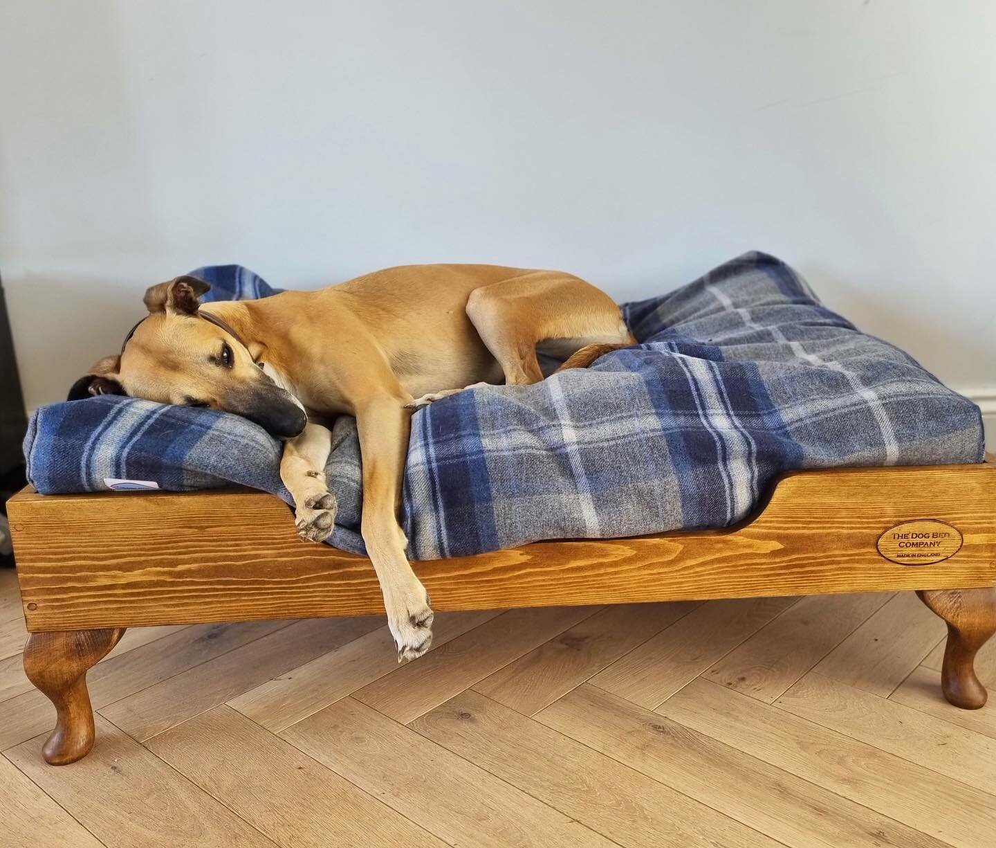 Don&rsquo;t you wish you could sleep so comfortably?  Just raising the deep filled mattress off the floor provides the warmth, air flow and security that our dogs need for rest and relaxation.  Just like our own beds!!! #luxurydogbed #raiseddogbed #h