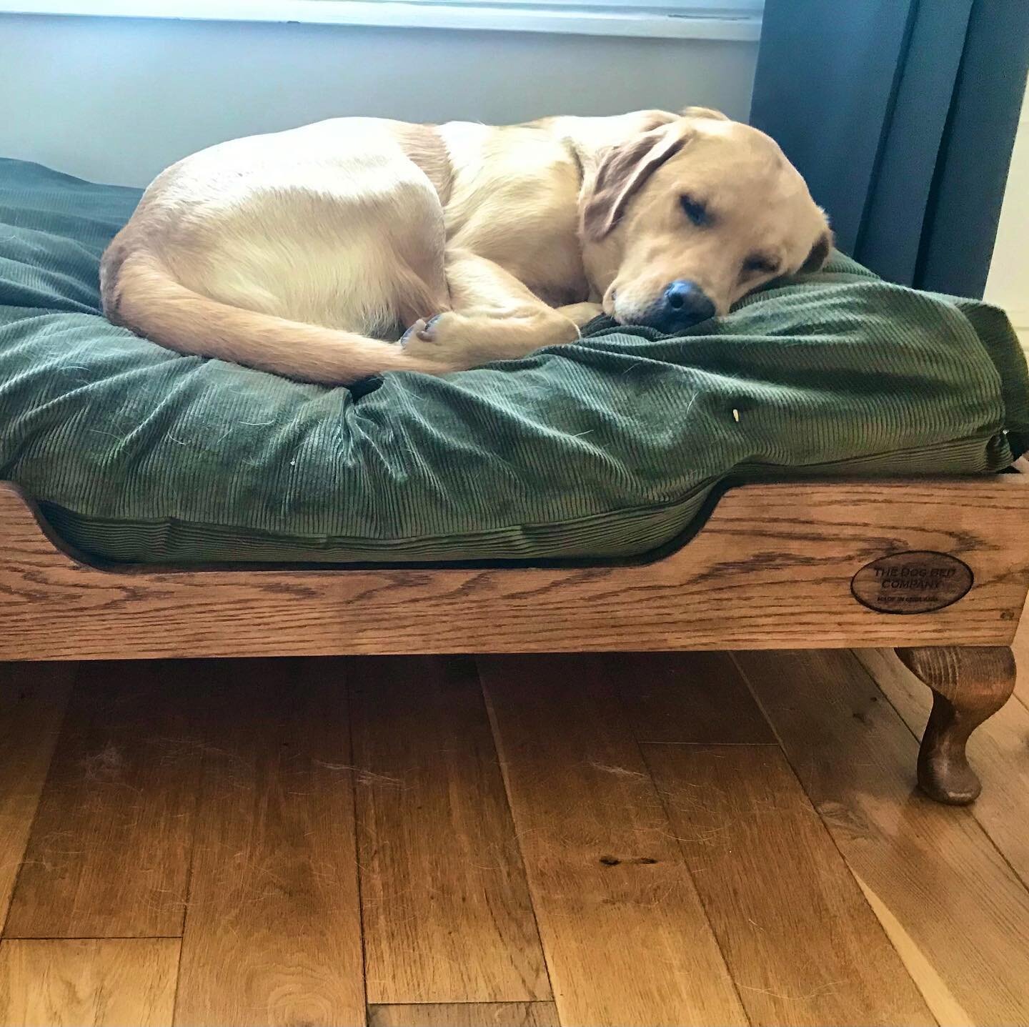 It&rsquo;s great that we&rsquo;re able to spend time with friends and family again but don&rsquo;t forget to keep on spoiling your most loyal friend! #oakdogbed #spoiltdog #labrador #countryliving #dogsofinstagram