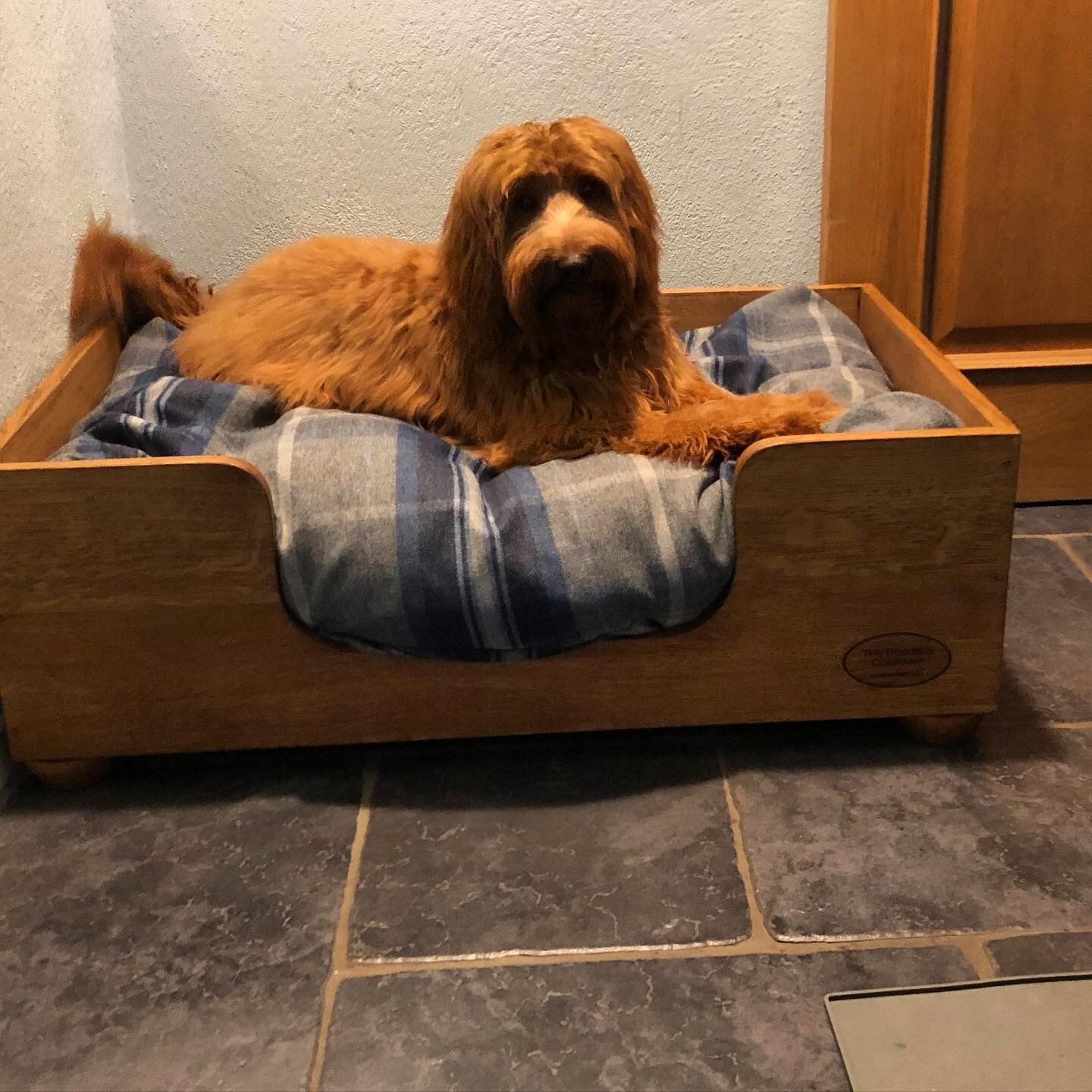 Winnie appreciating her raised bed. You wouldn&rsquo;t want to sleep on a cold floor #woodendogbed #raiseddogbed #luxurydogbed #cosydog #countryhouses #happydog #dogsofinstagram