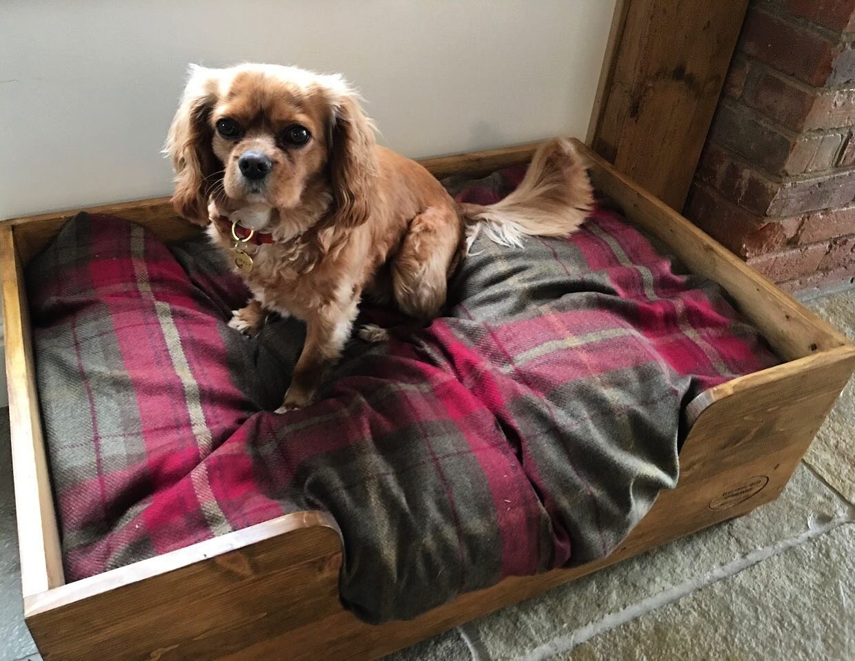 Someone loves their new bed! #oakdogbed #luxurydogbed #cosydog #spoiltdog #countryhouses #dogsofinstagram