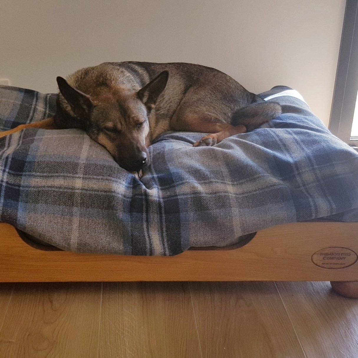 Gallery — The Dog Bed Company