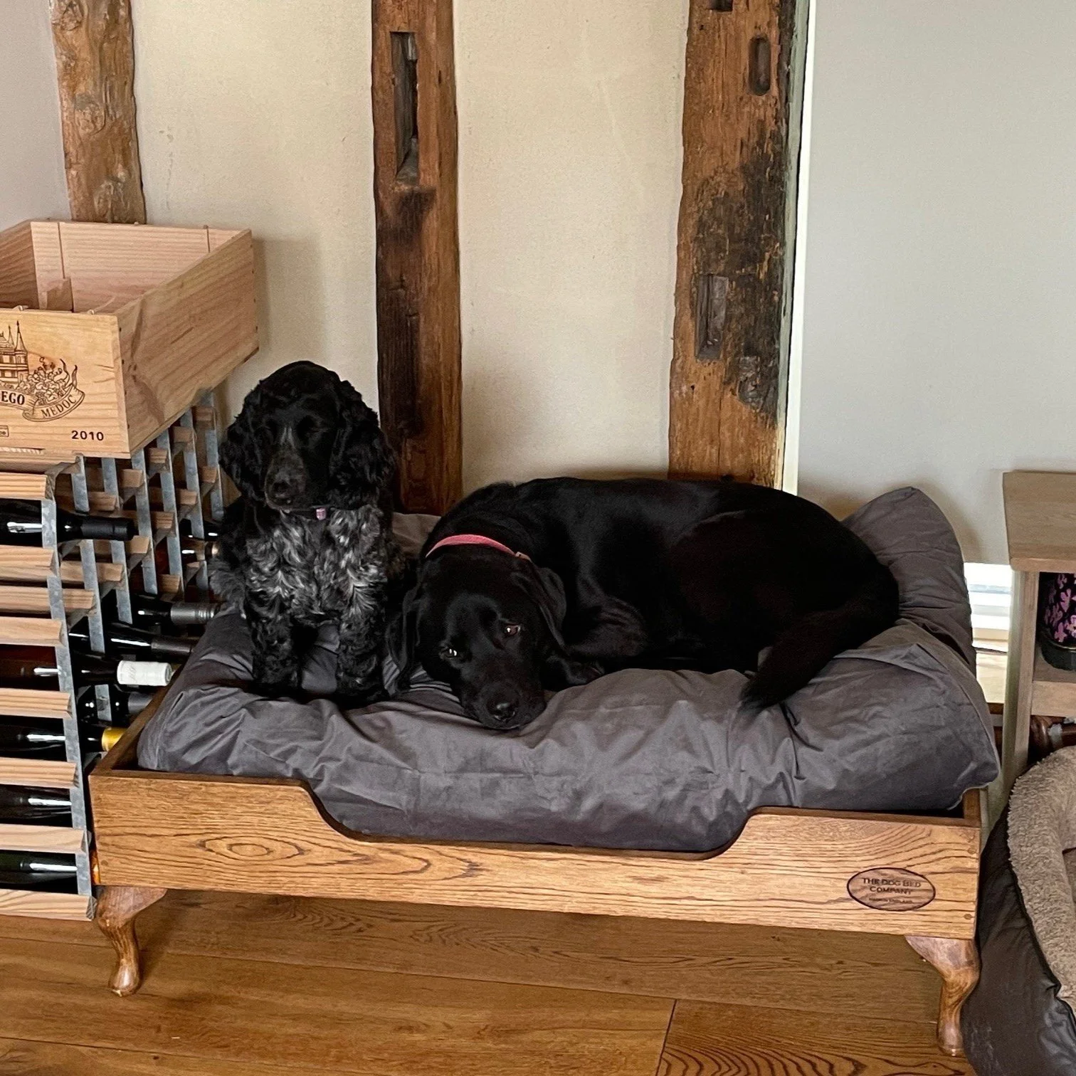This large oak bed allows these 2 friends to snuggle together