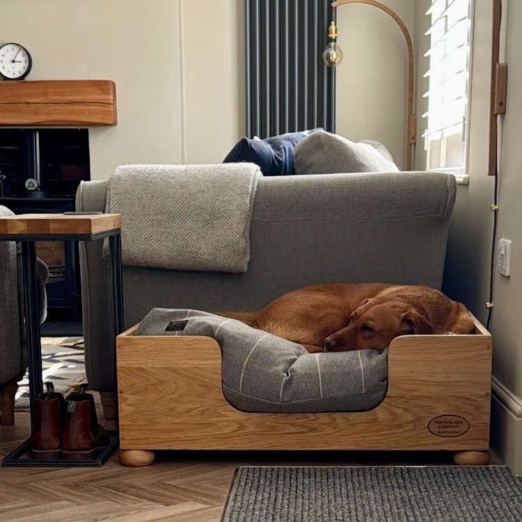 Stylish bed for a stylish home