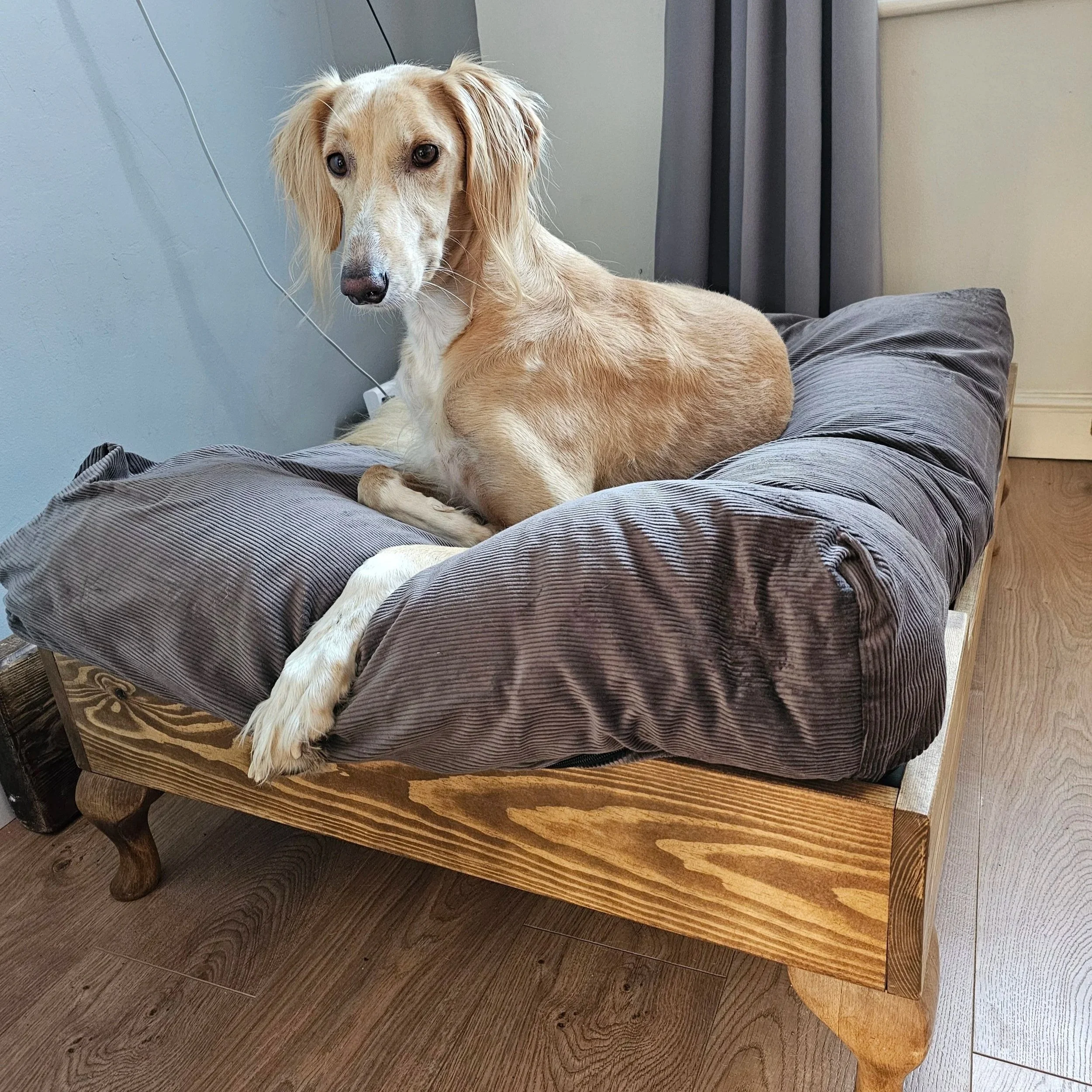 This large pine bed gives this lovely saluki more than enough space to stretch out or curl up