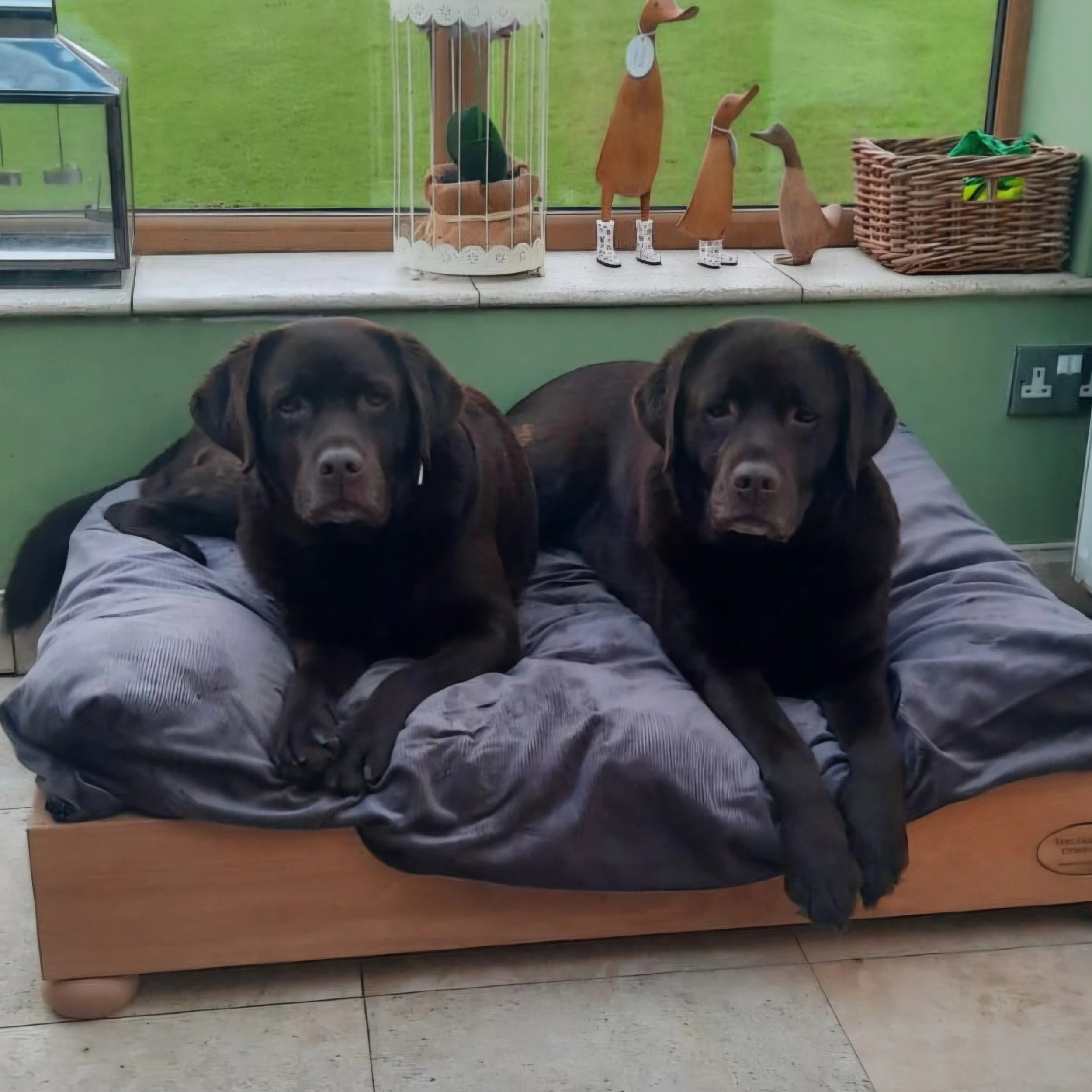 This large oak bed is perfect for these sisters who never sleep apart