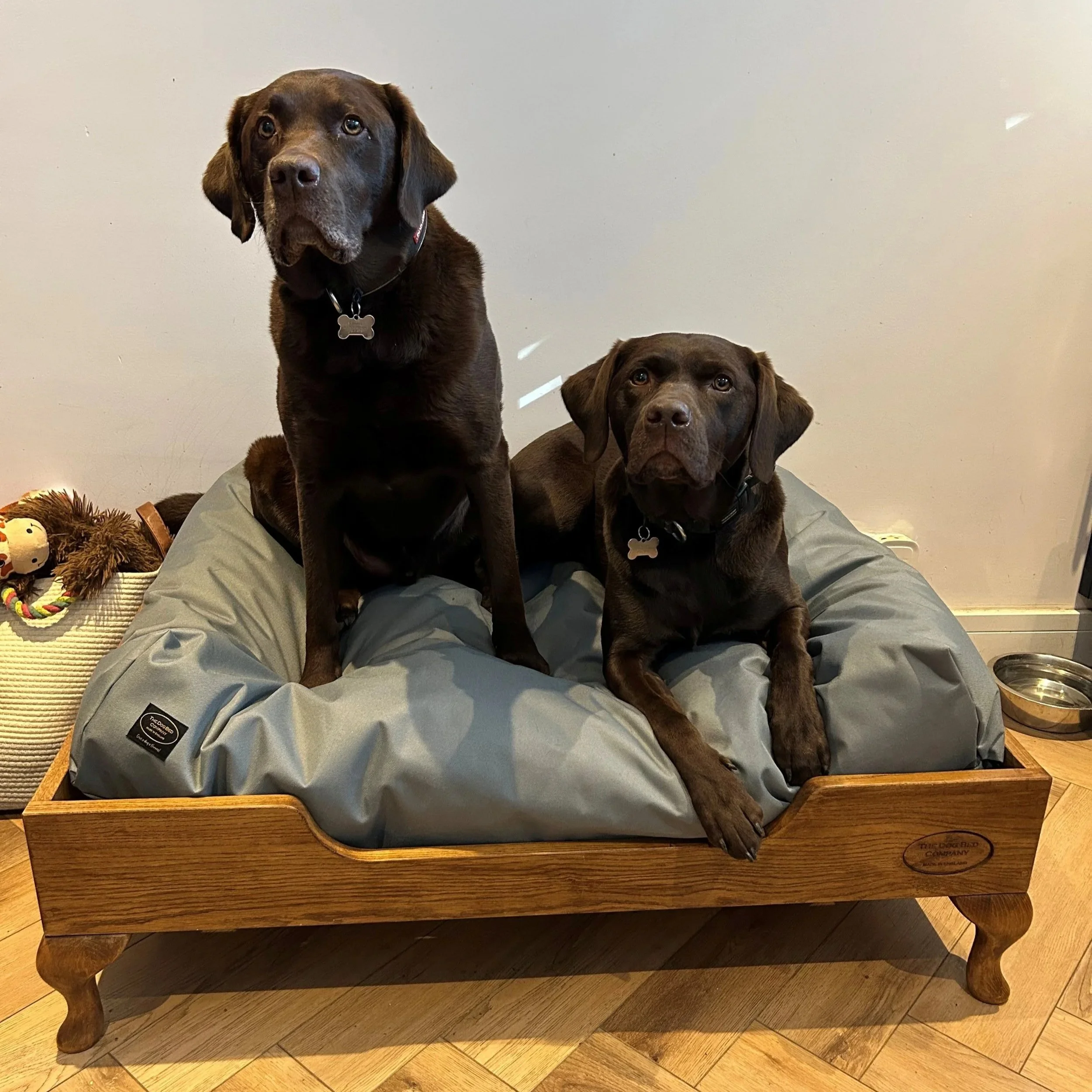 Sharing this large pine bed with mattress and tough cover