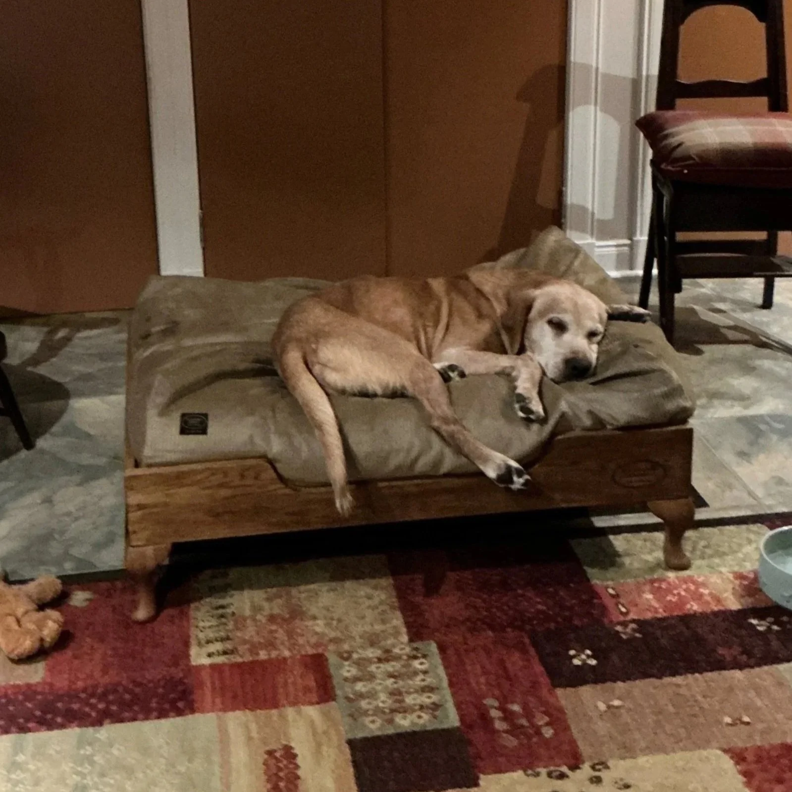 Harris made his new bed his own straight away