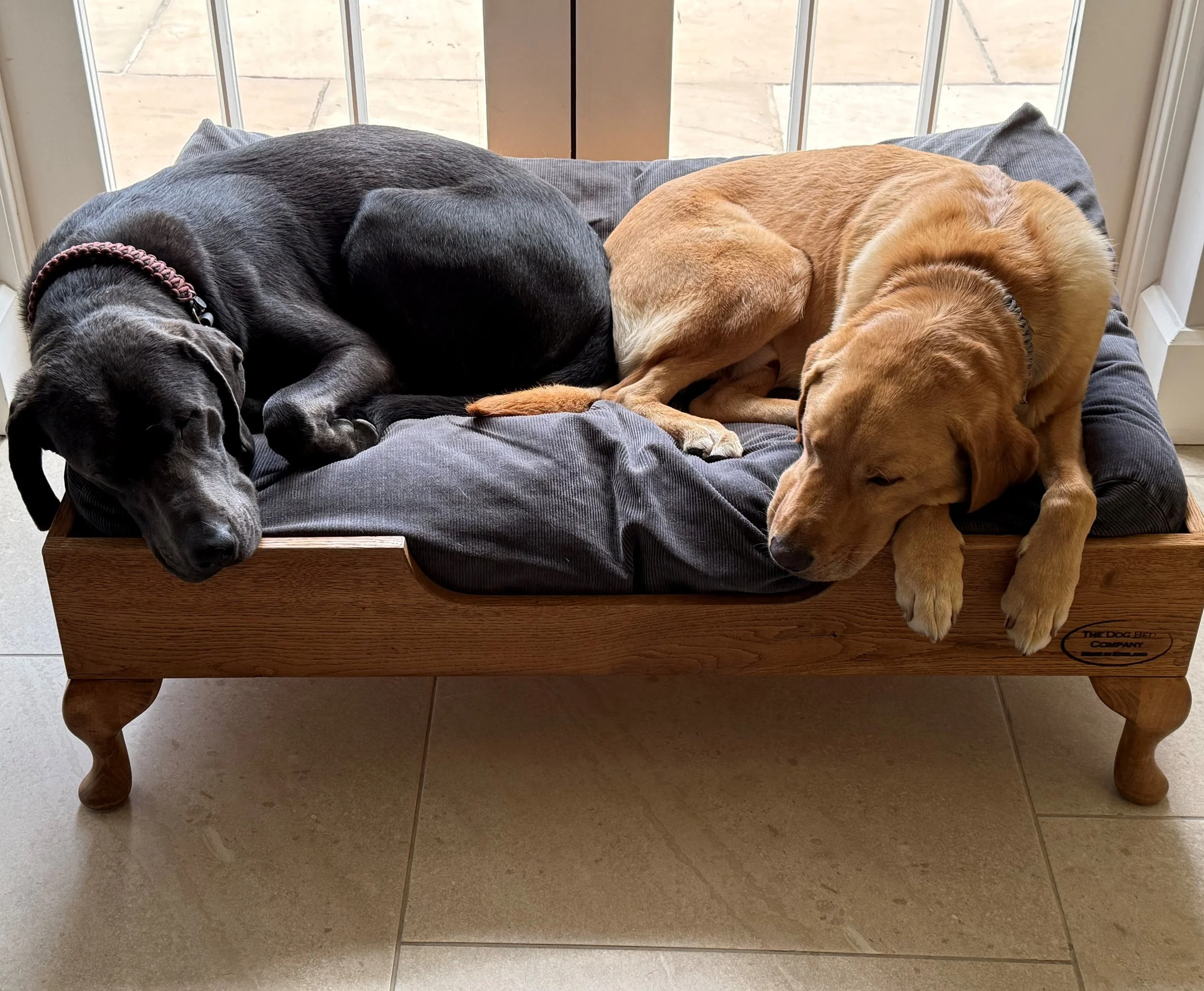 10 years on and this bed is still much loved by Monty & Charlie