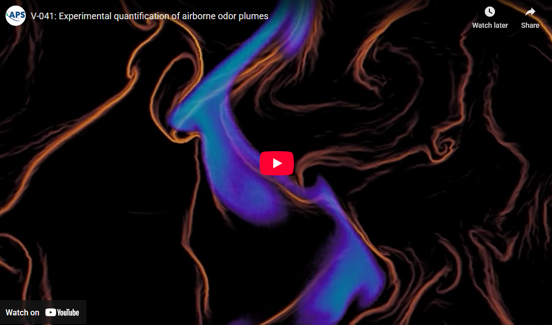 Graduate Student Elle Stark receives 2025 APS Division of Fluid Dynamics Milton van Dyke Award for video submission