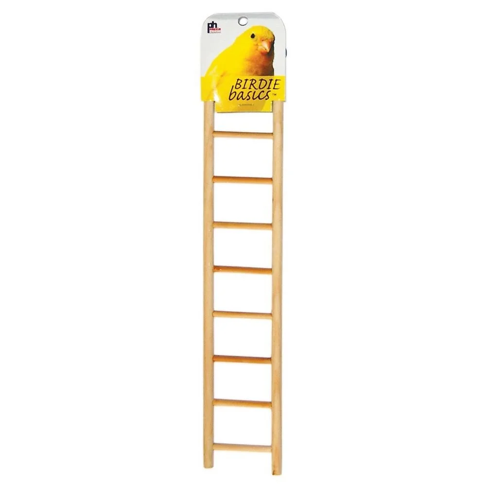 ladder.jpg