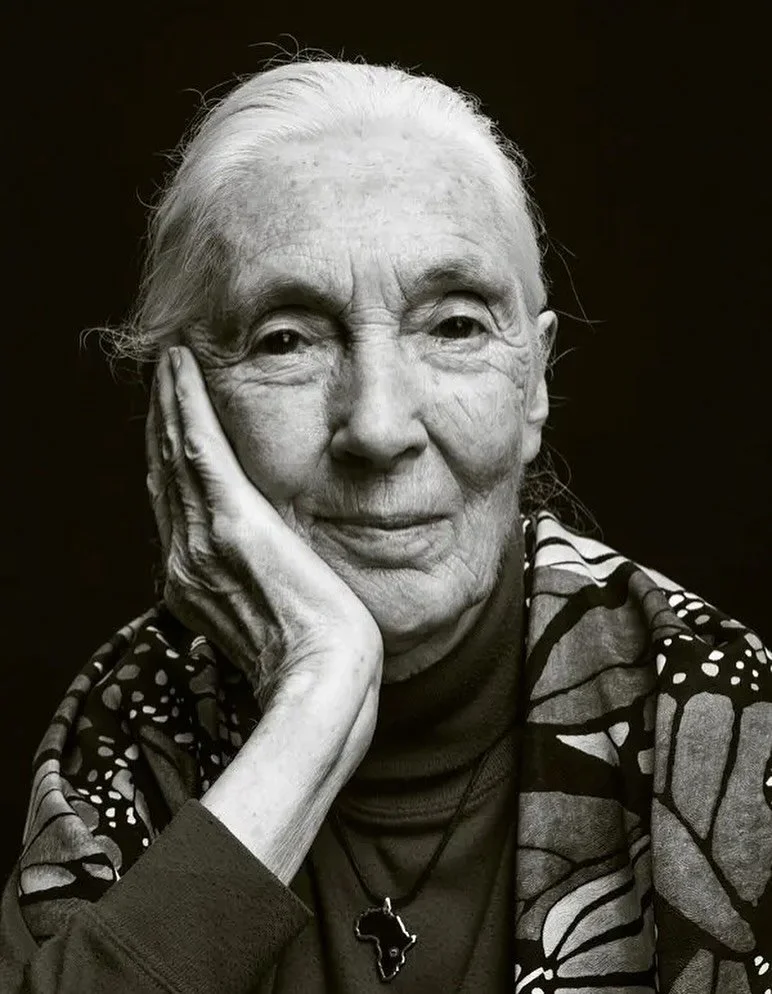 What an amazing human being. @janegoodalluk you were an inspiration and a true icon. Your legacy will be remembered forever. Thank you 🙏 ❤️🪴🐒 🌏 ❤️