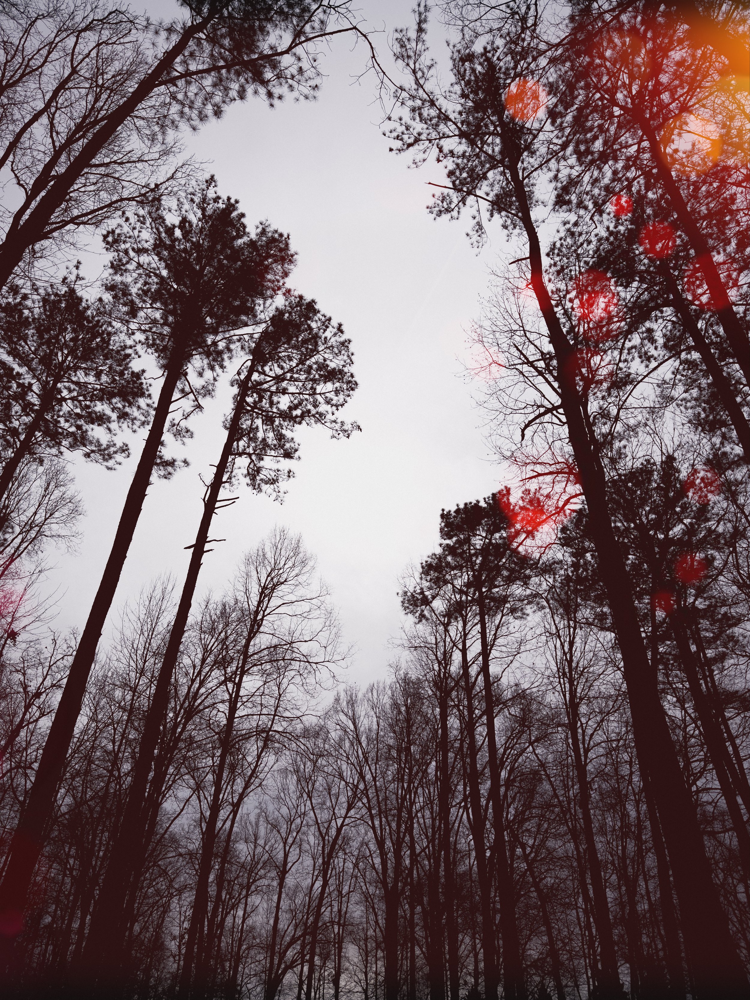 C4396779-6820-49C4-AB70-9C8A68D02D8E.jpeg