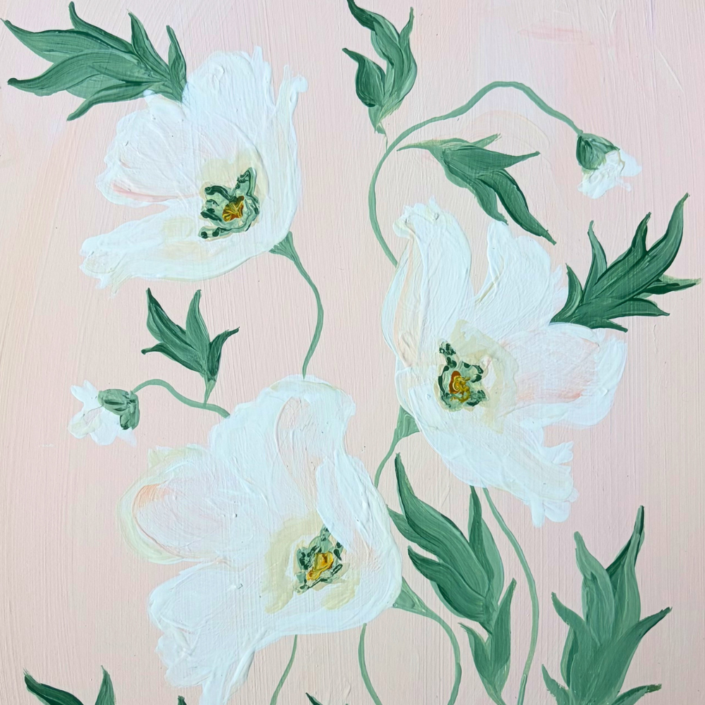 white poppies