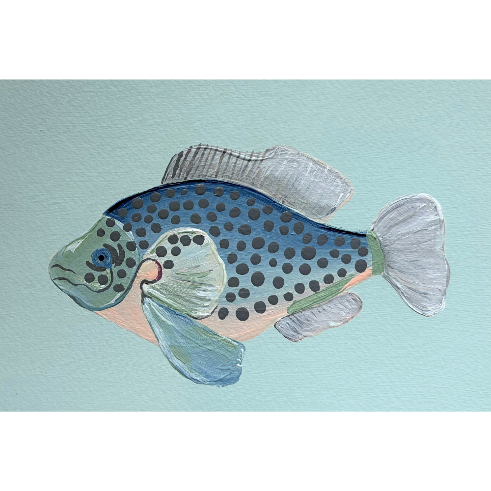 fish study ii