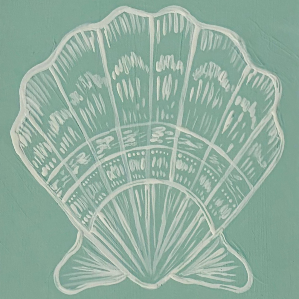 scallop shell - white on seafoam