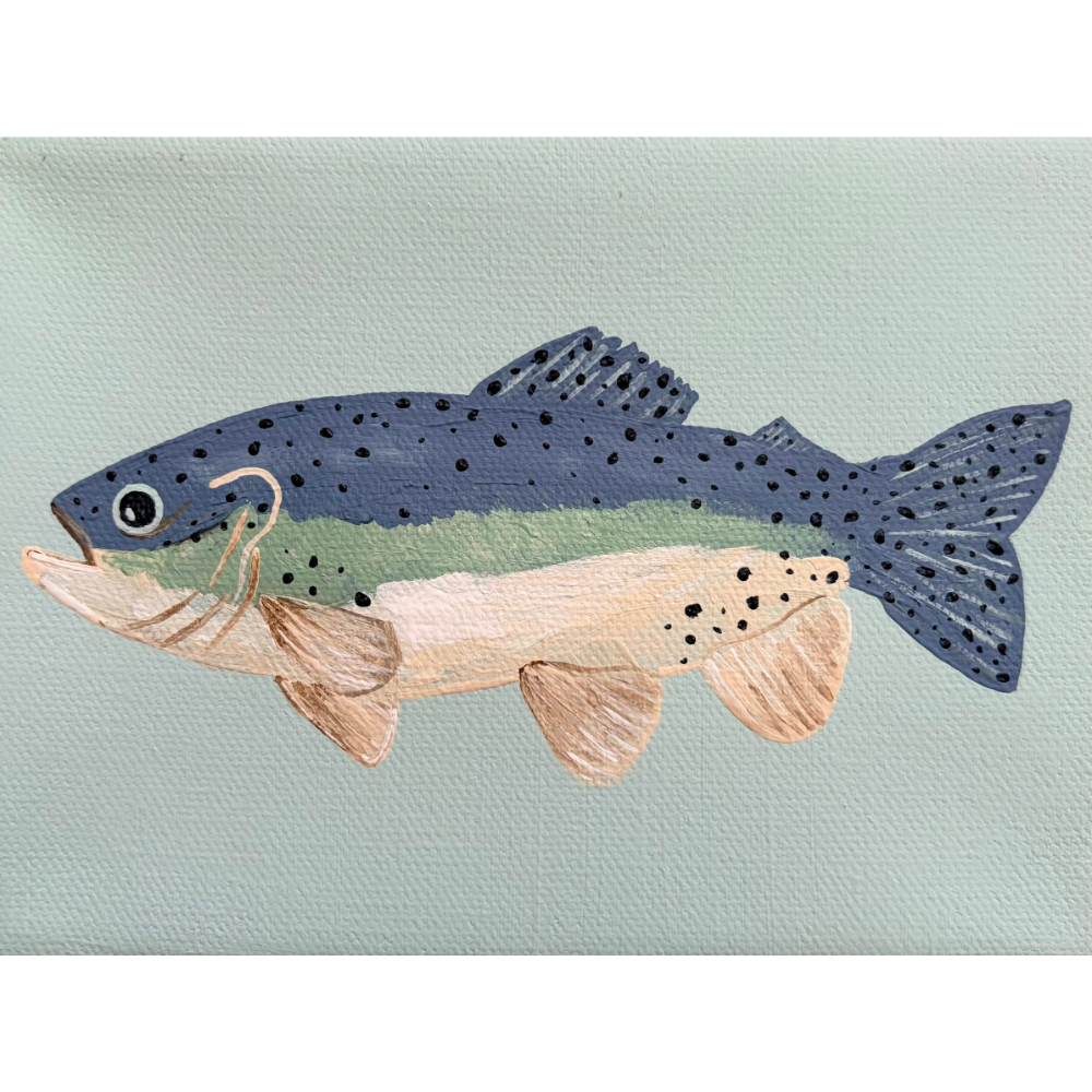 rainbow trout ii
