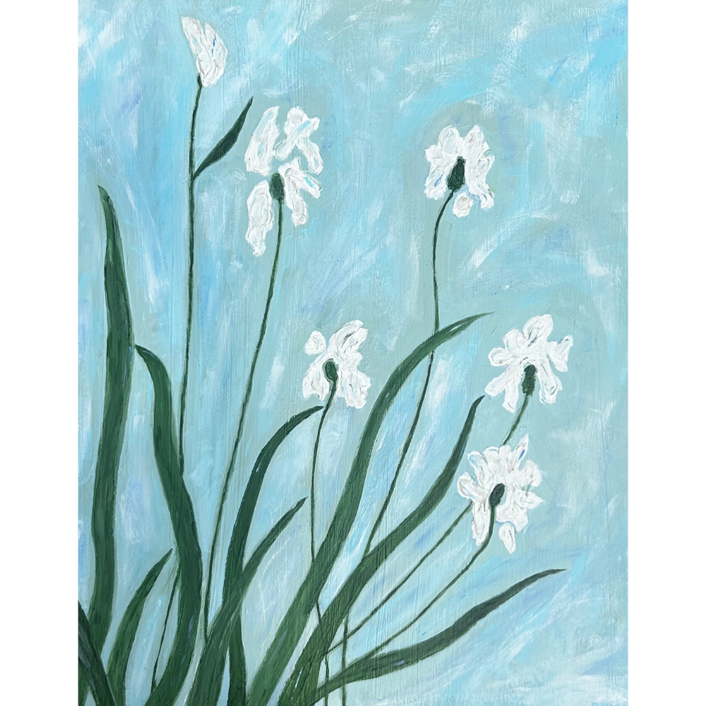 white iris