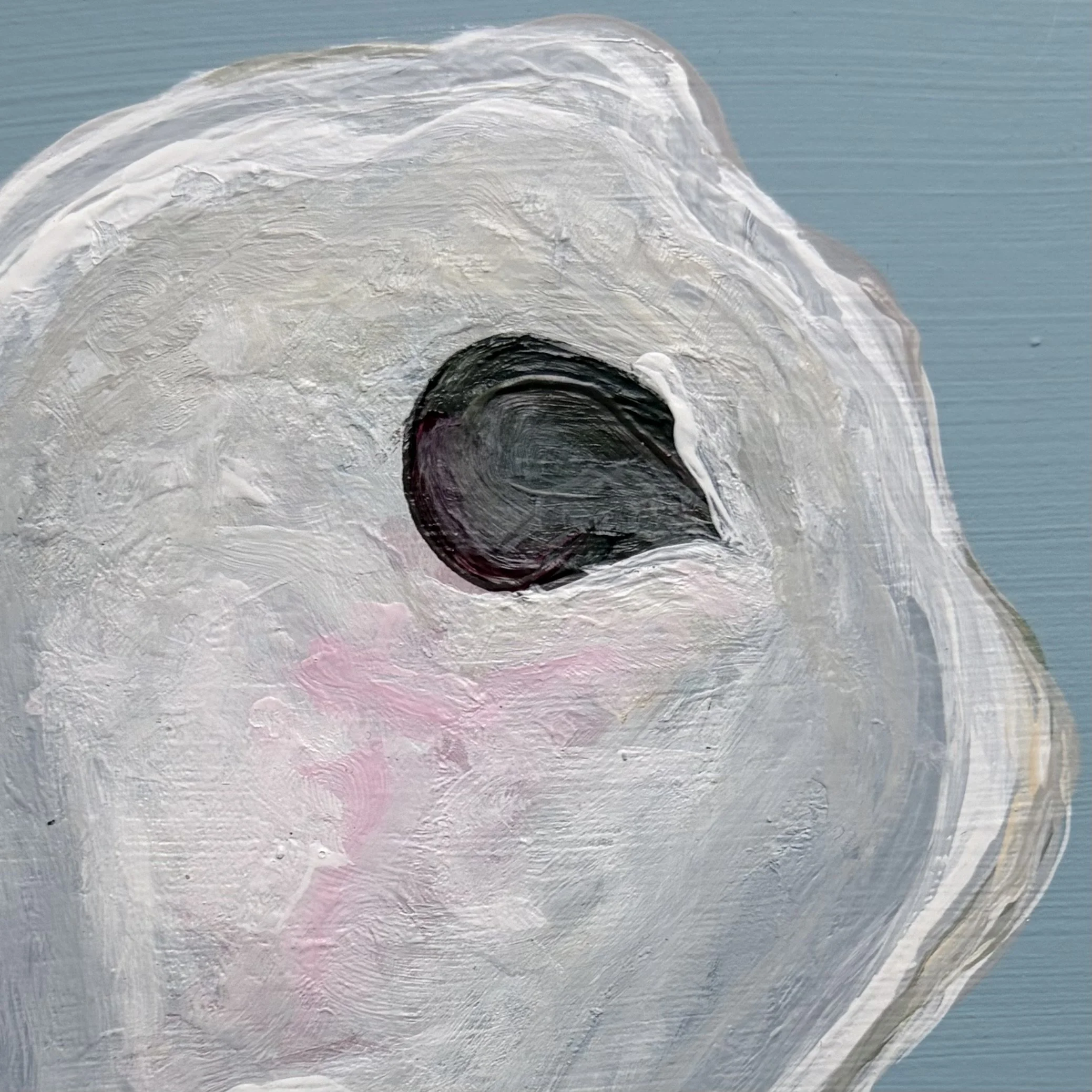 oyster shell ii
