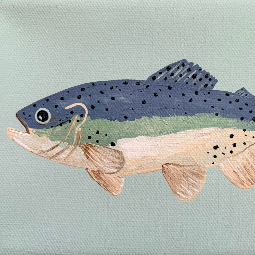 rainbow trout mini canvas series