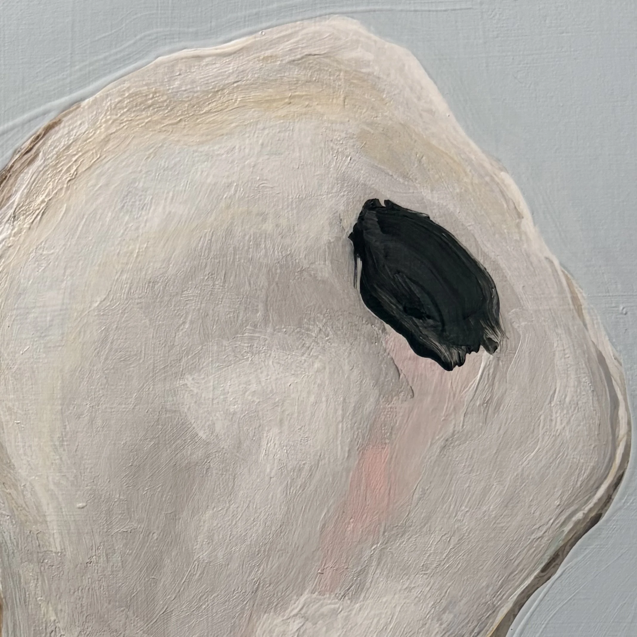 oyster shell
