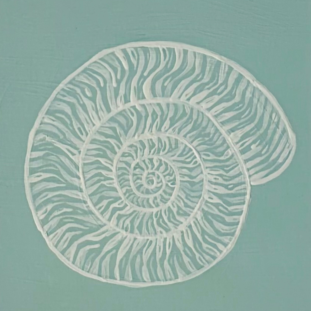 nautilus shell - white on seafoam