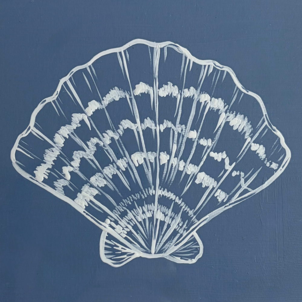 scallop shell - white on blue