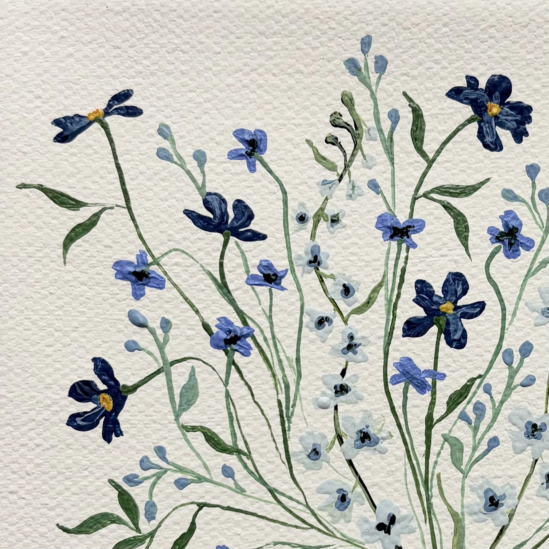 IMG_2650.jpeg (Copy)