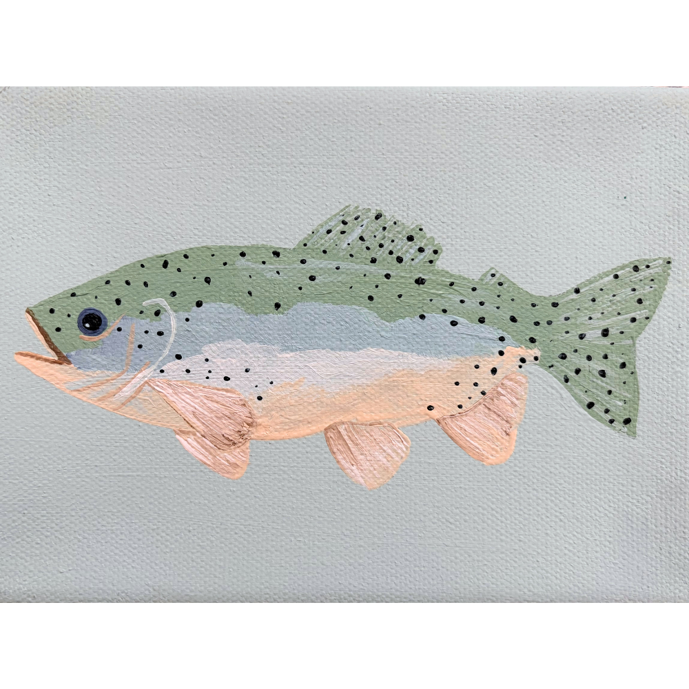 rainbow trout iii