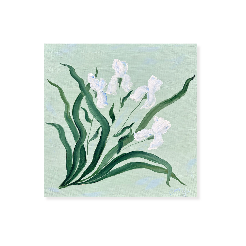 white iris painting-2.png