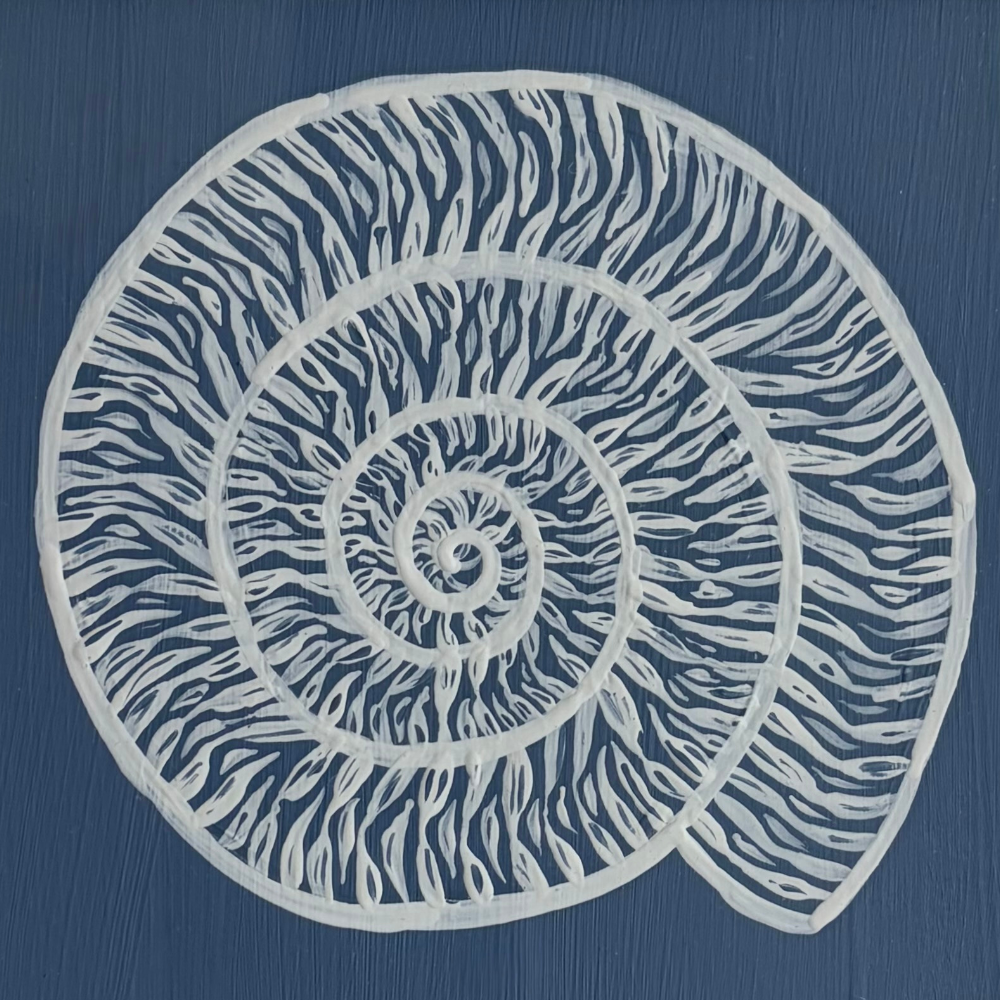 nautilus shell painting - white on navy.png