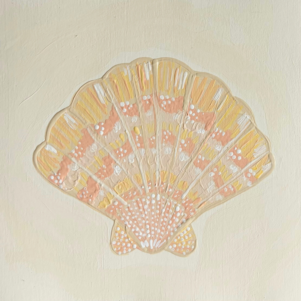 scallop shell acrylic block