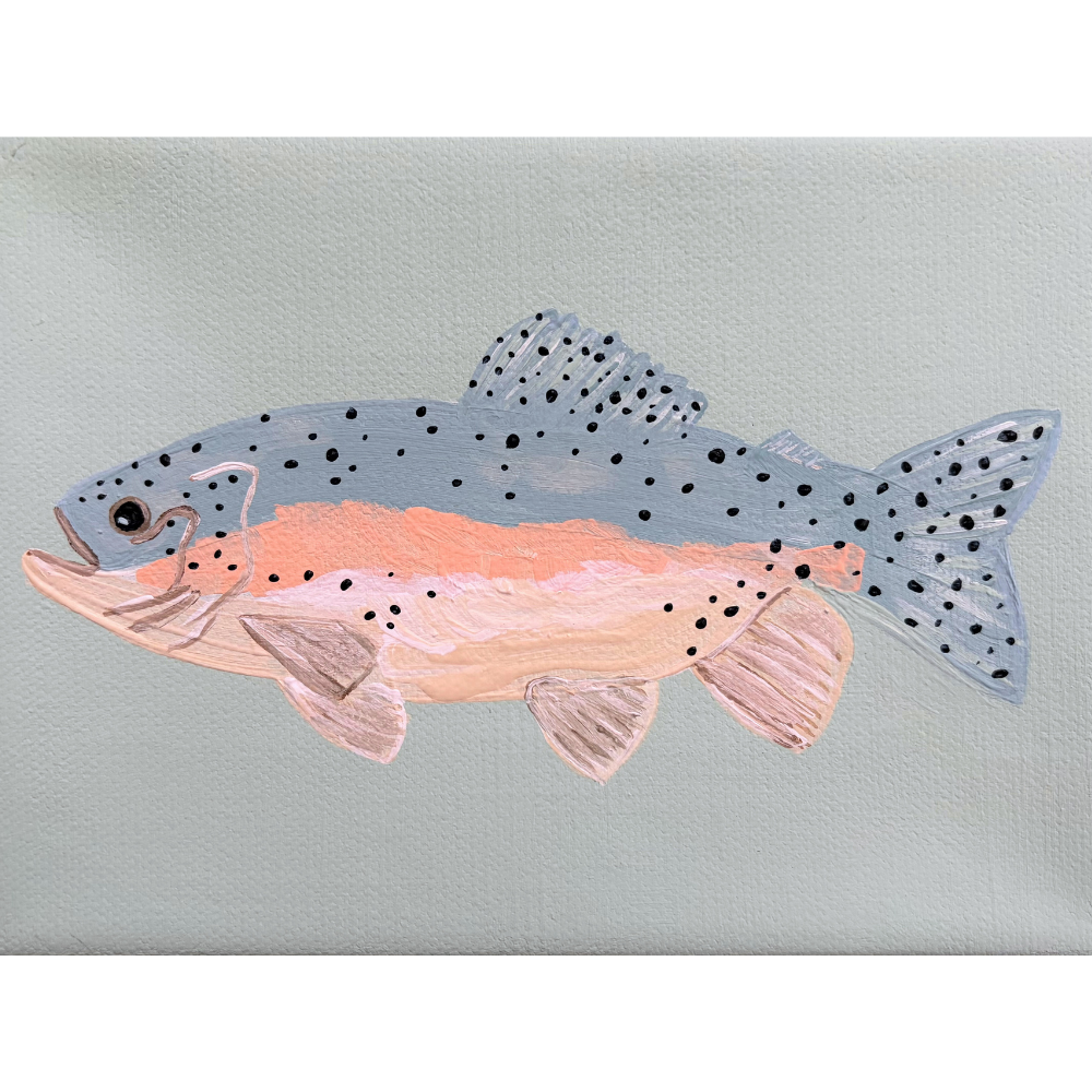rainbow trout