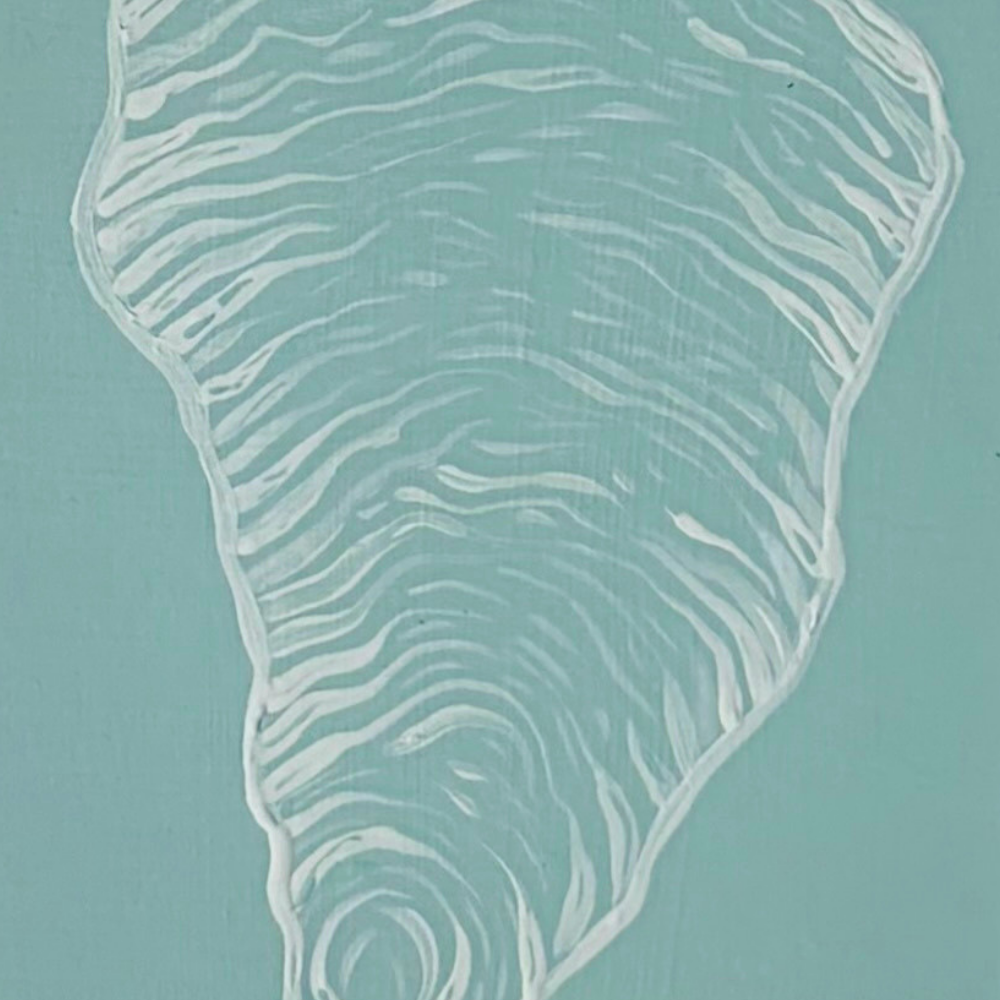oyster shell - white on seafoam