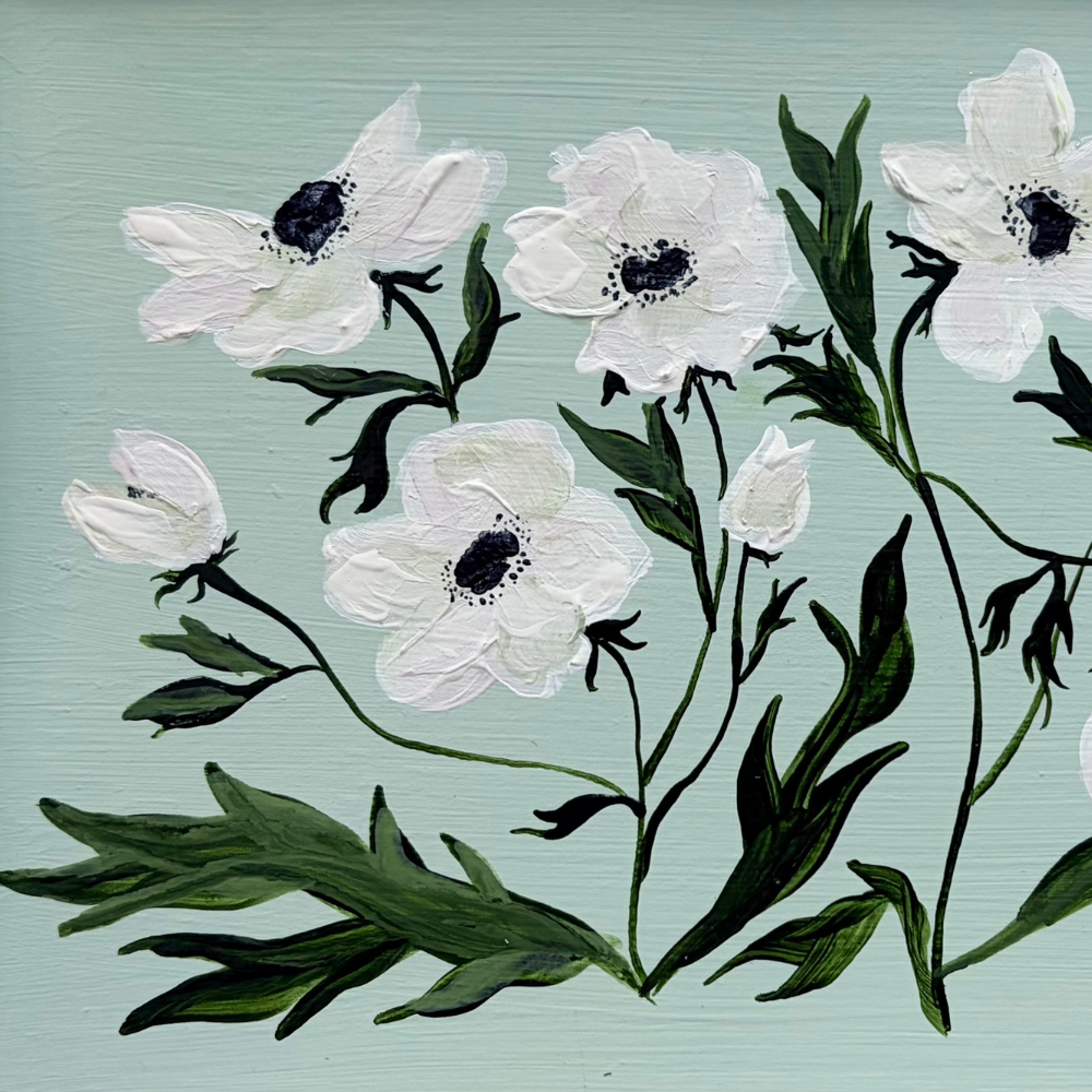 anemone on green