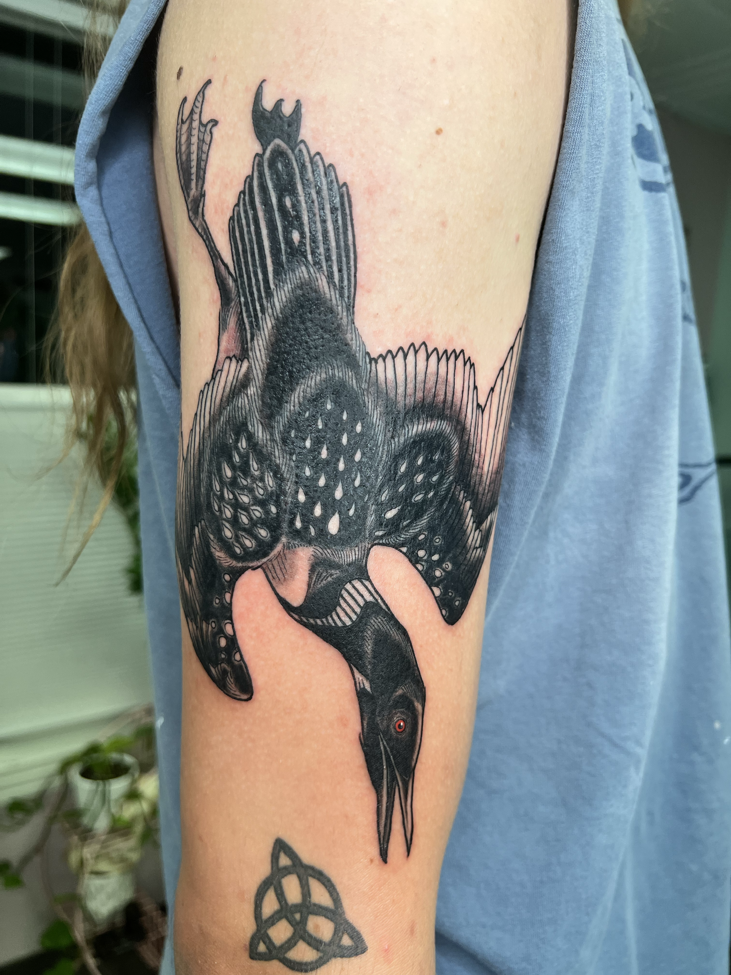 Ricci_Tattoo_2.png