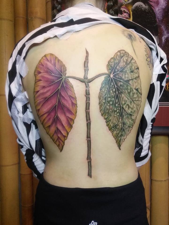 Cat and aspen leaf tattoo by @tattooartist_jing 🐈🐱 . . . . . #cattattoos  #pettattoo #petportraittattoo #patchtattootherapy #minita... | Instagram
