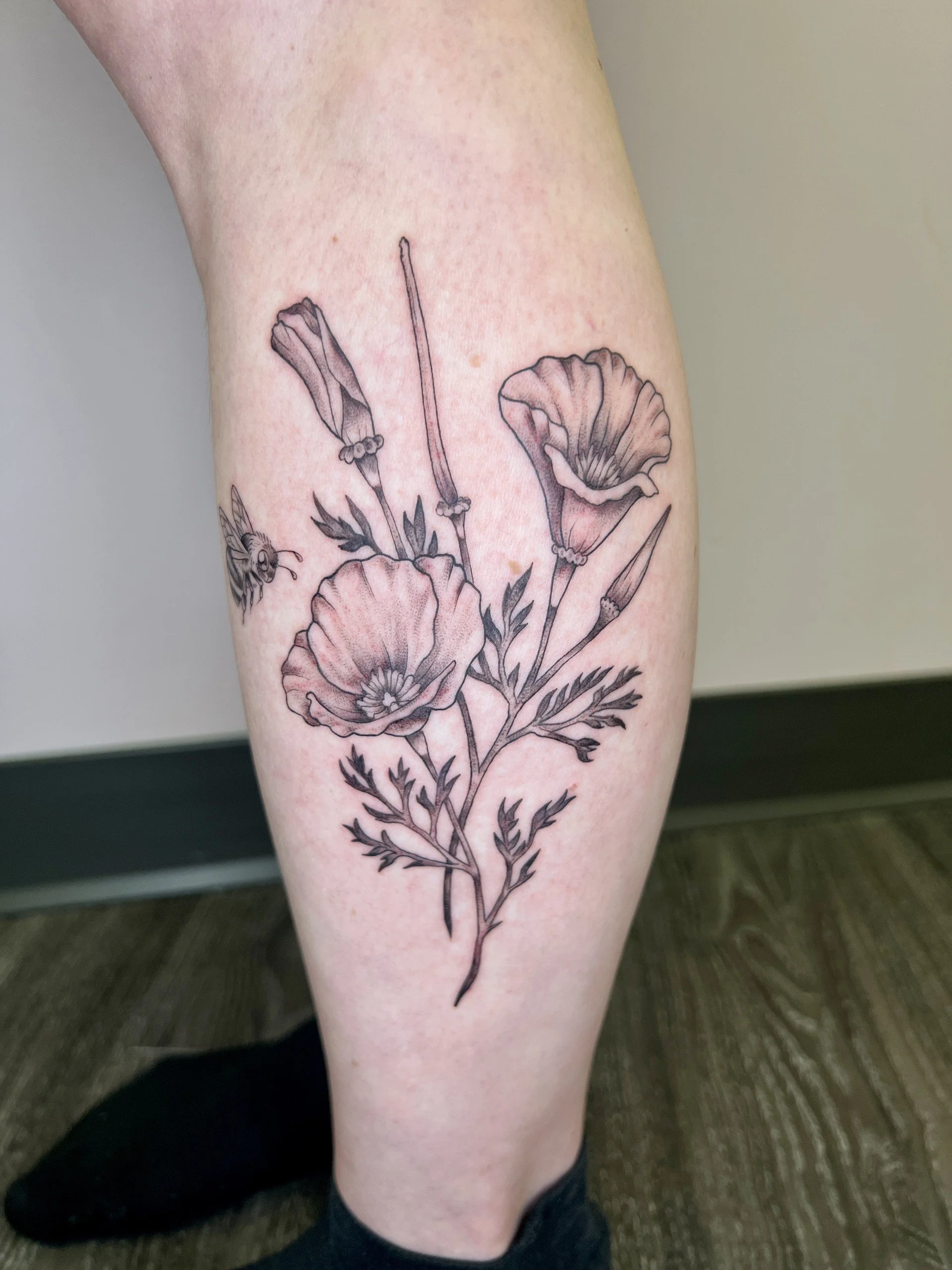 poppy.jpg