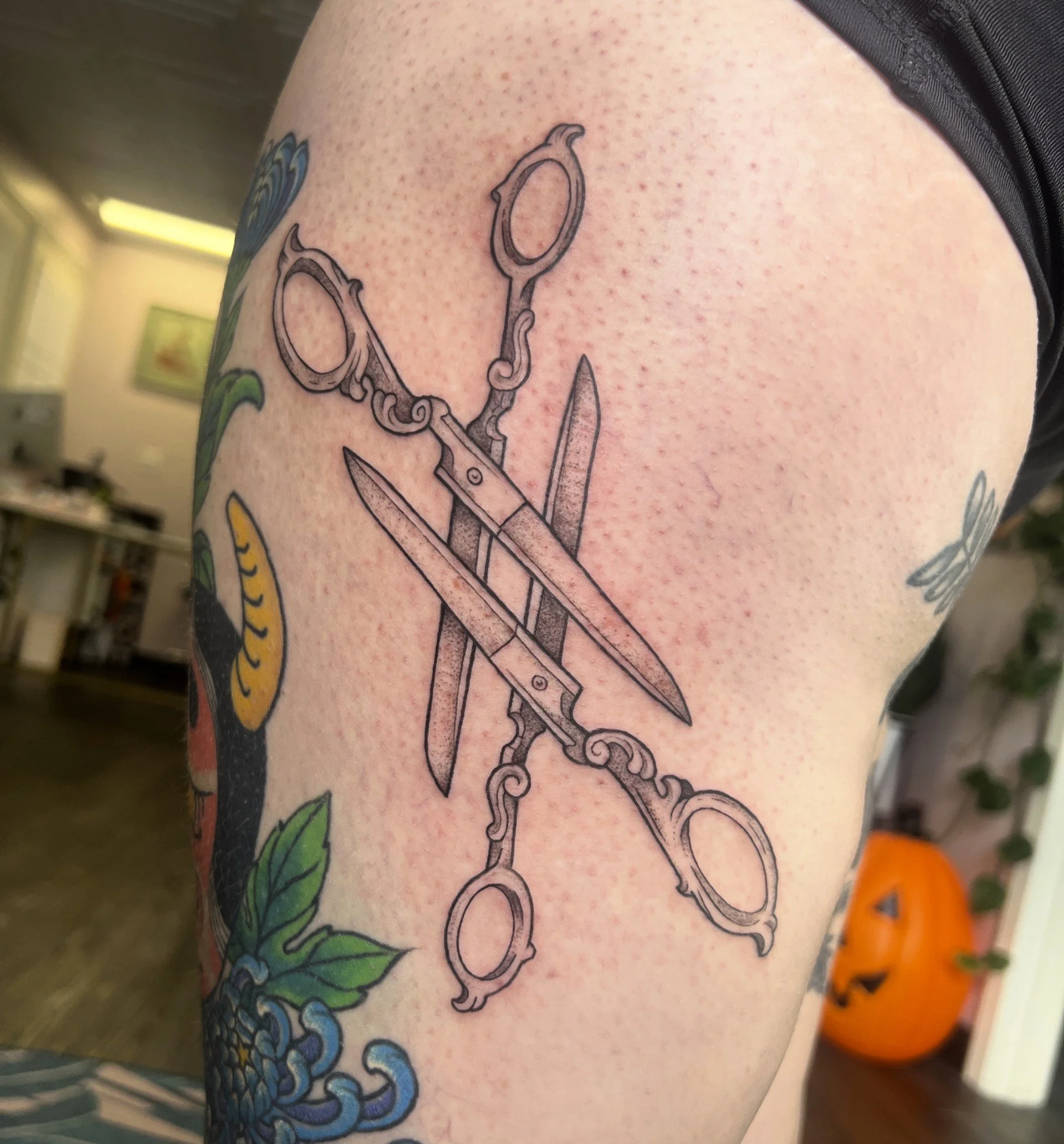 scissors.jpg