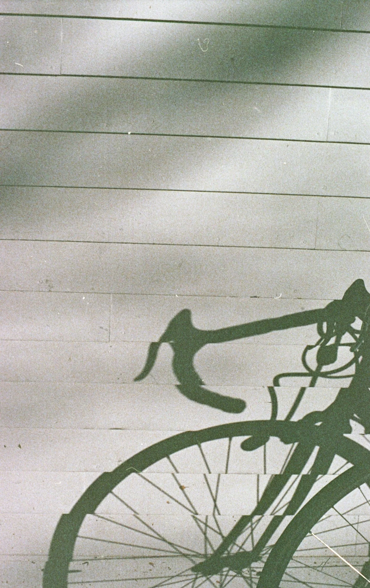 Pt. 2 - Learning the Language of the Psalms