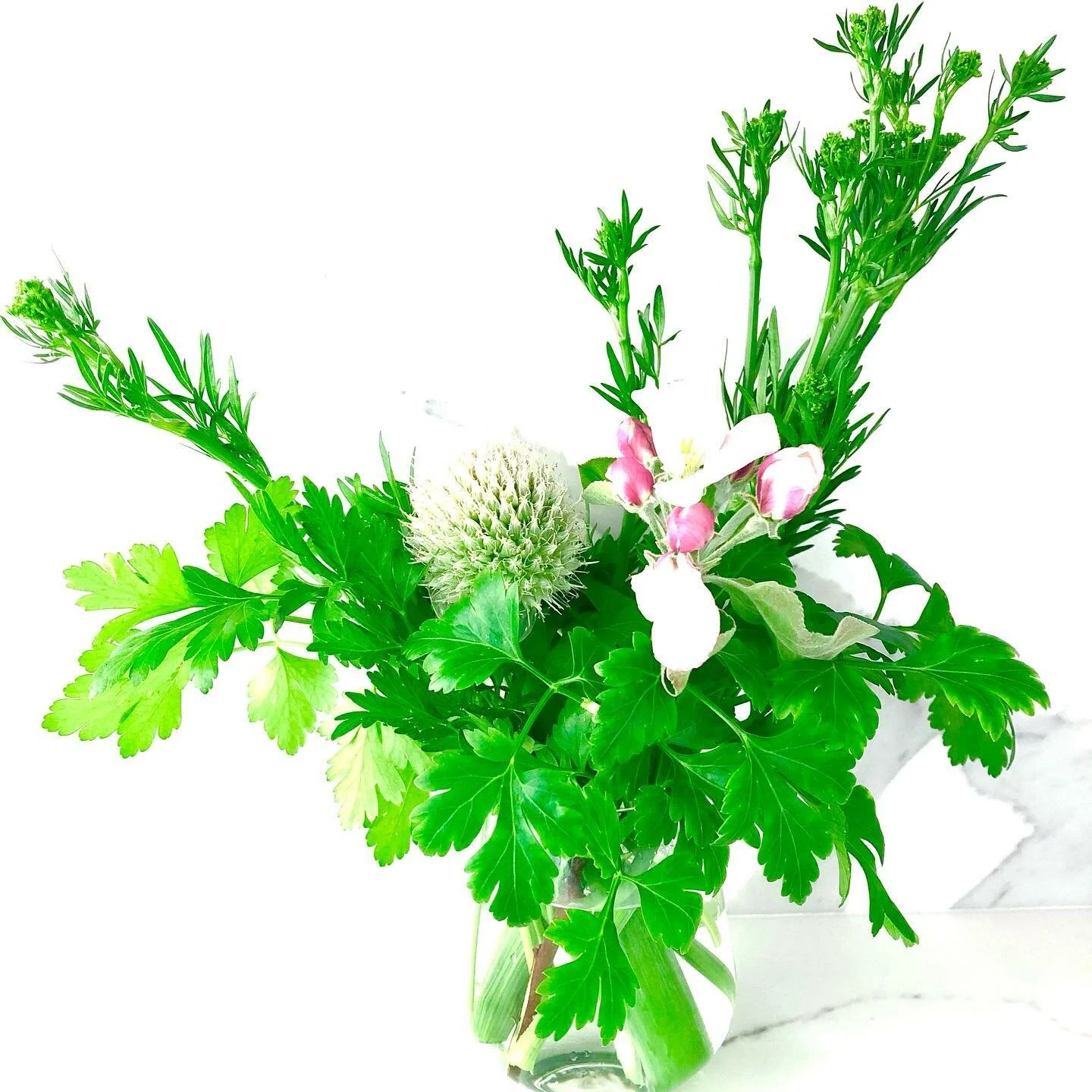 Garden bouquet made with a single scallion flower, lots of parsley and an apple blossom branch.