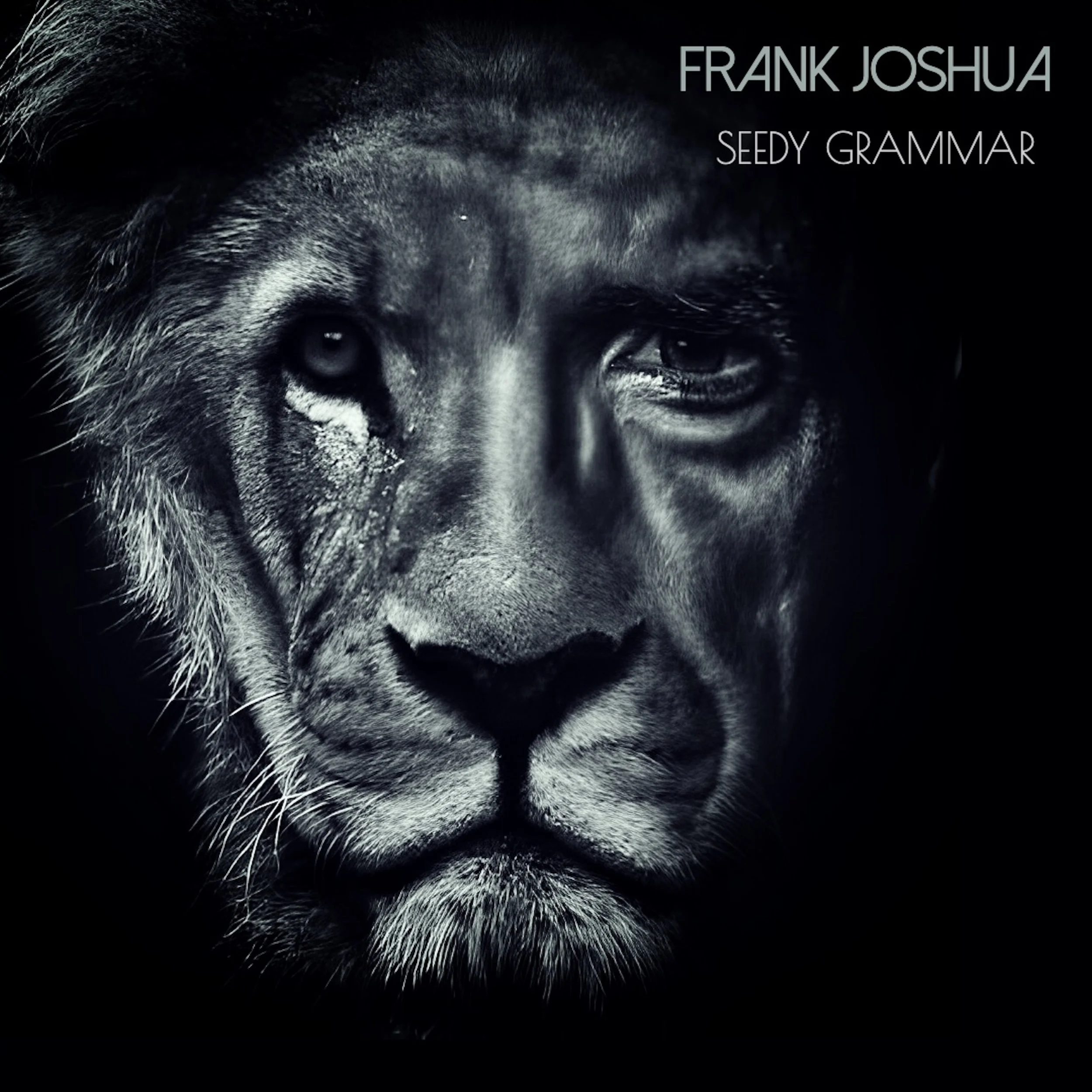 Seedy Grammar - Frank Joshua - Cover Art.jpg