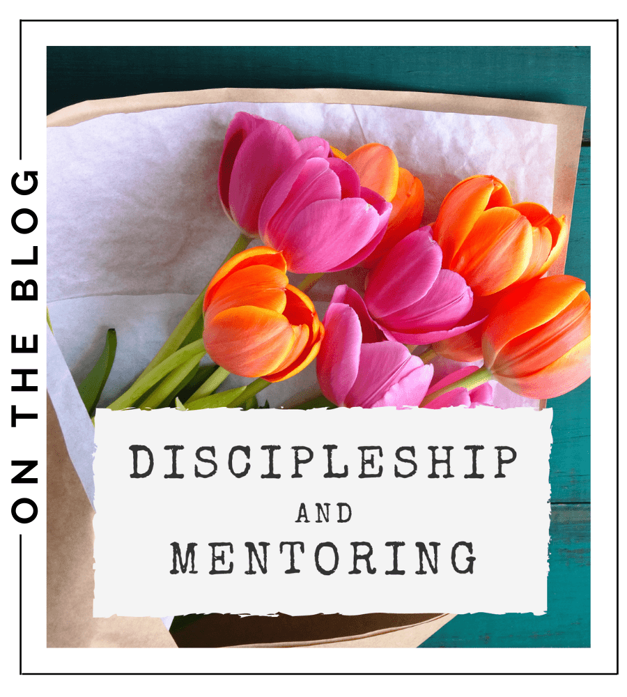 Discipleship &amp; Mentoring