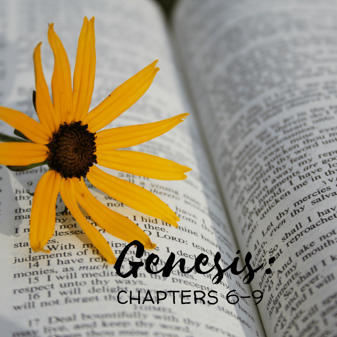 Genesis Chapters 6 9 Noah A Righteous Man Who Walked With God Cups genesis-chapters-6-9-noah-a-righteous-man-who-walked-with-god-cups