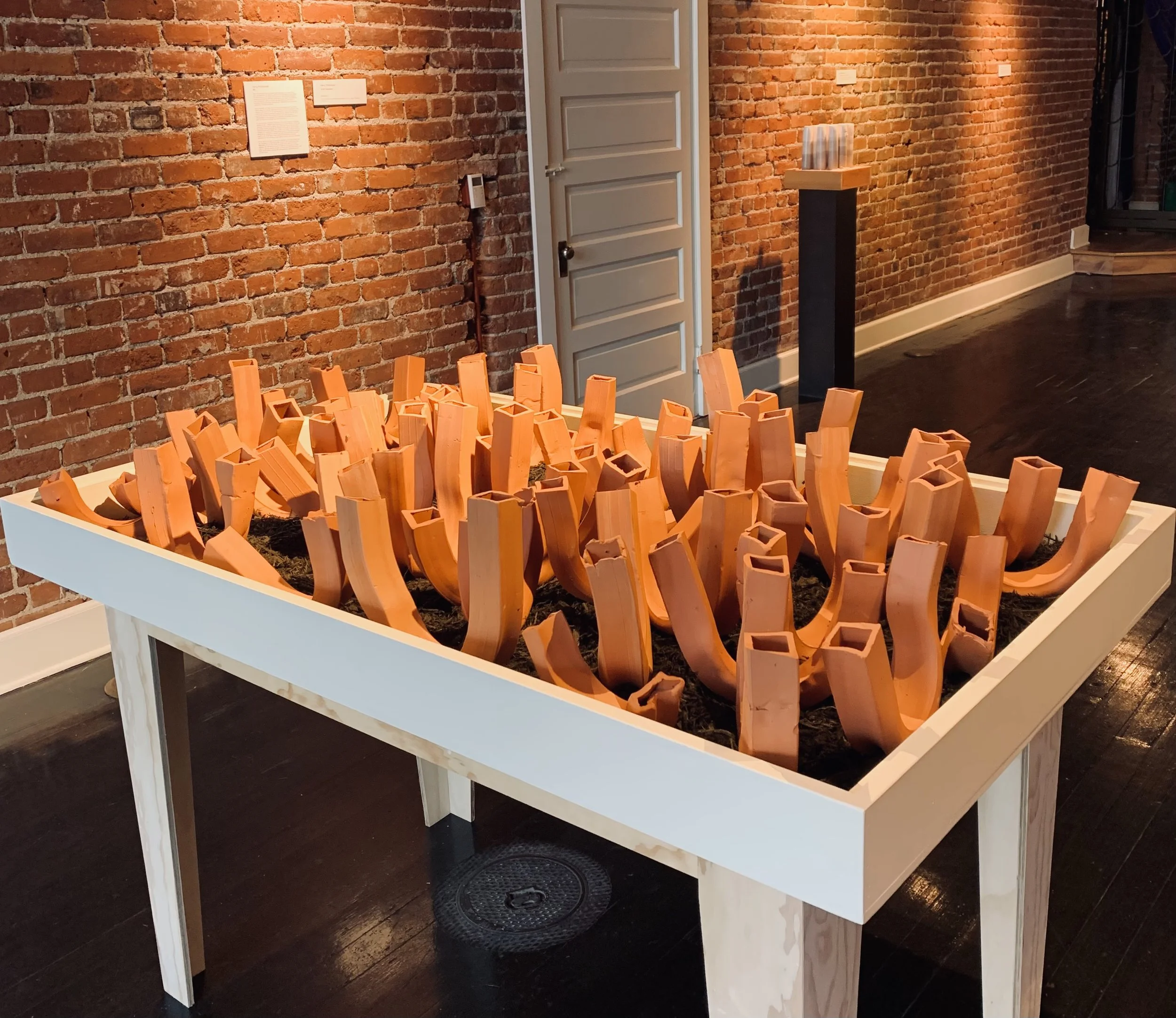 Mestyanek_Tuber.jpeg