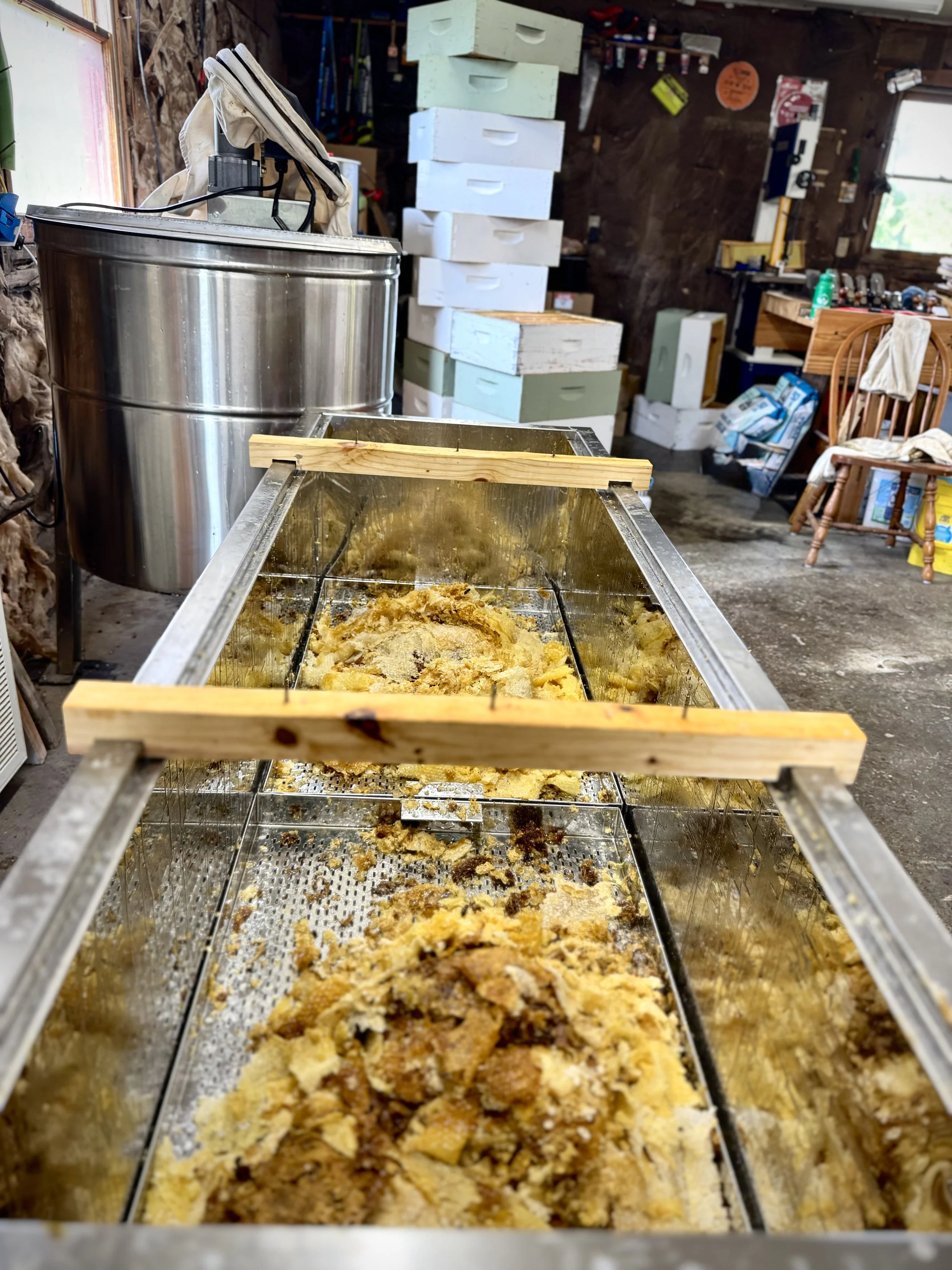 Yearly Final Harvests: Chickens and Honey at Berryton Home Farm