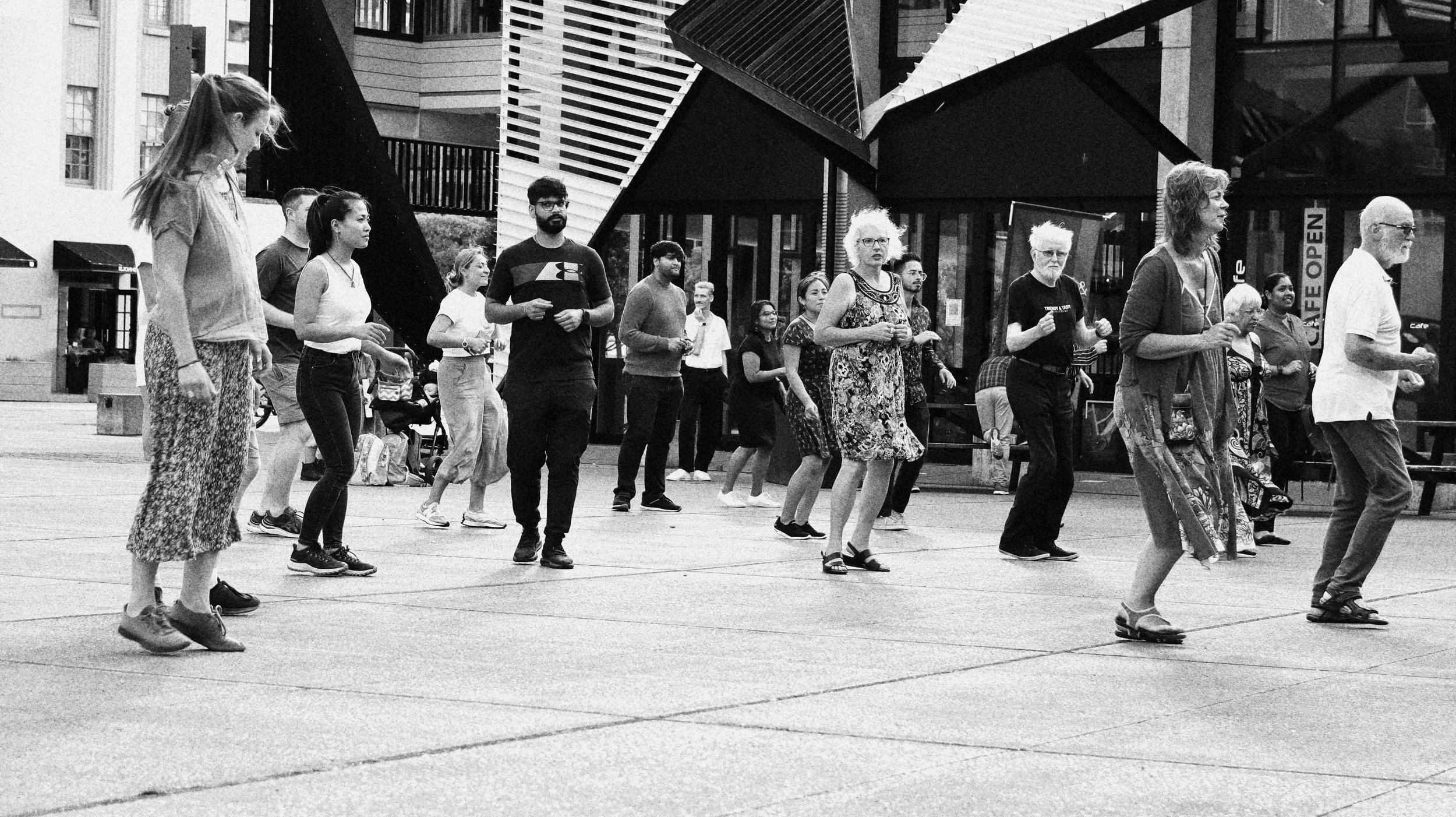 the futile cycle (an explanation of unrequited love) — Art Johnstone