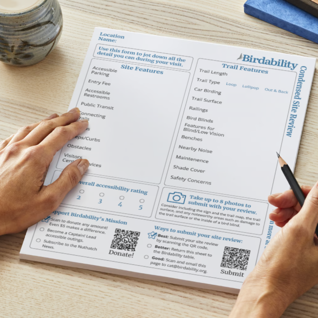 When Language IS the Accessibility Feature — Birdability