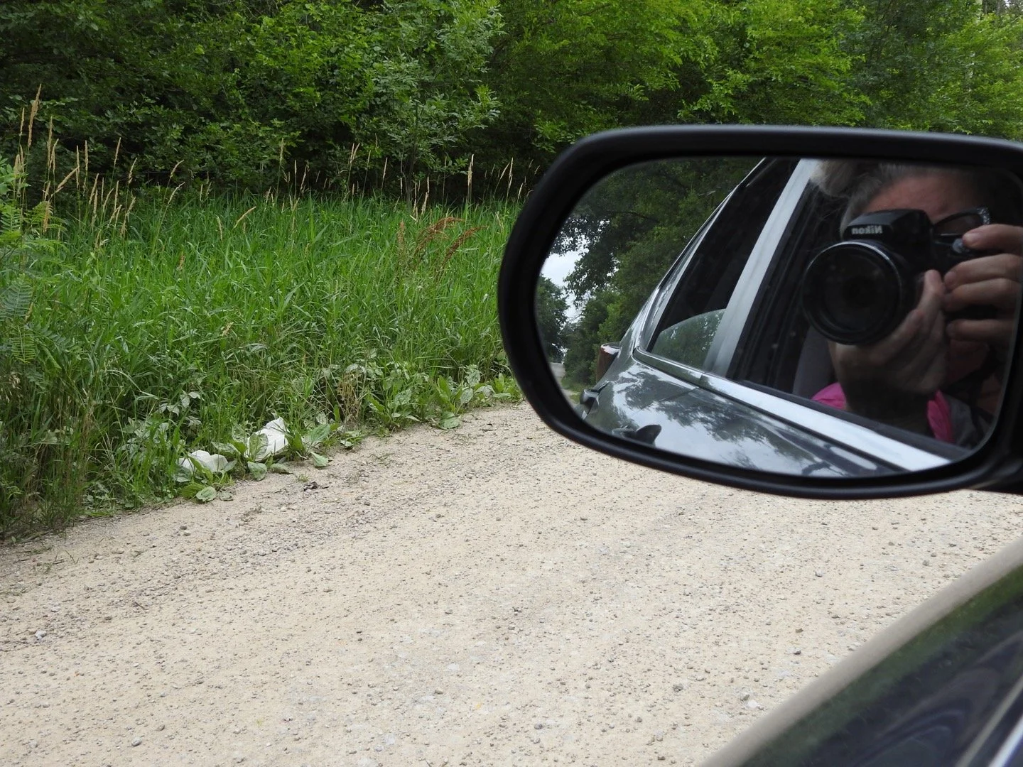 Birding and PTSD